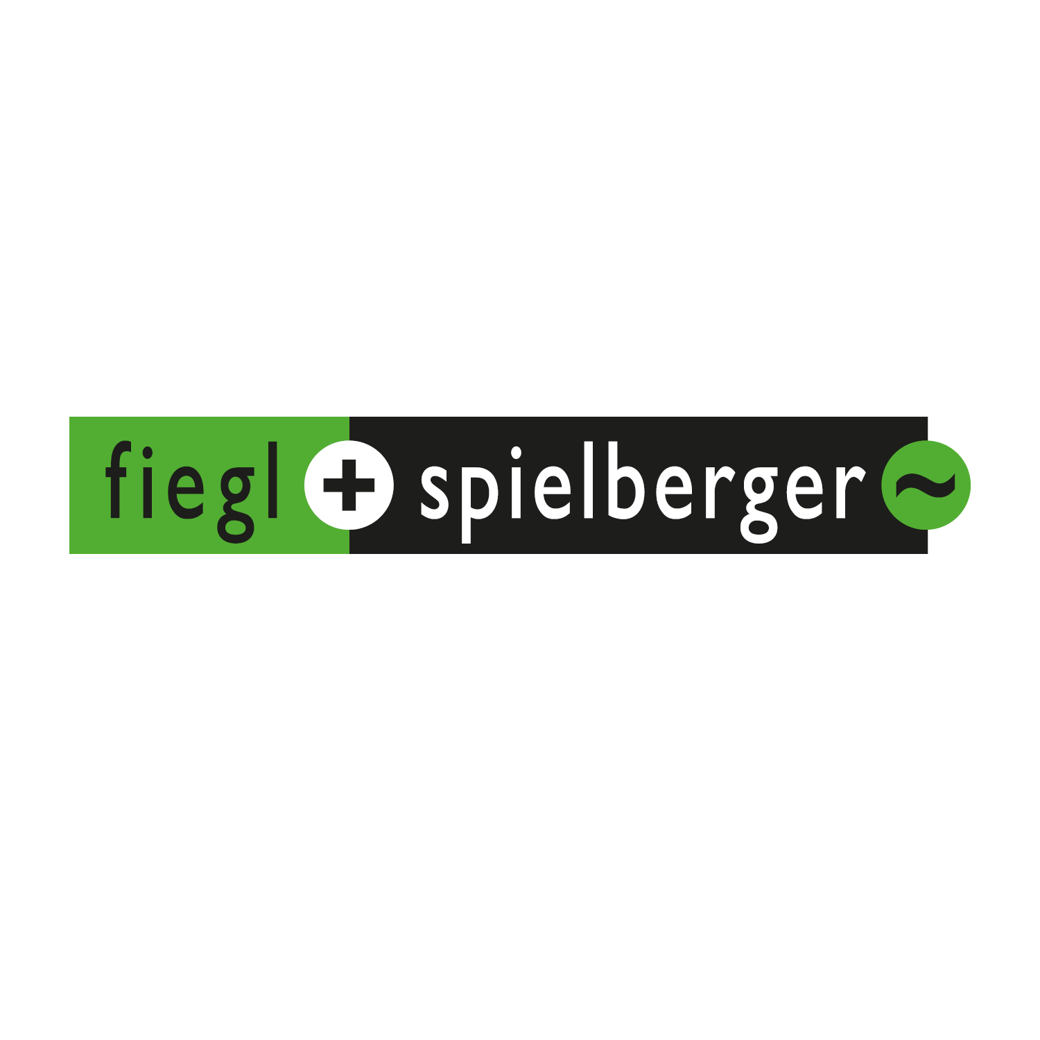 Logo Fiegl & Spielberger GmbH Logo Fiegl & Spielberger GmbH