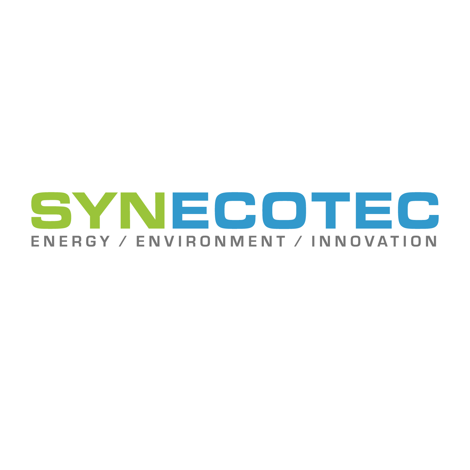 Logo SYNECOTEC